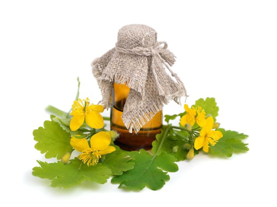 celandine infusion for foot fungus